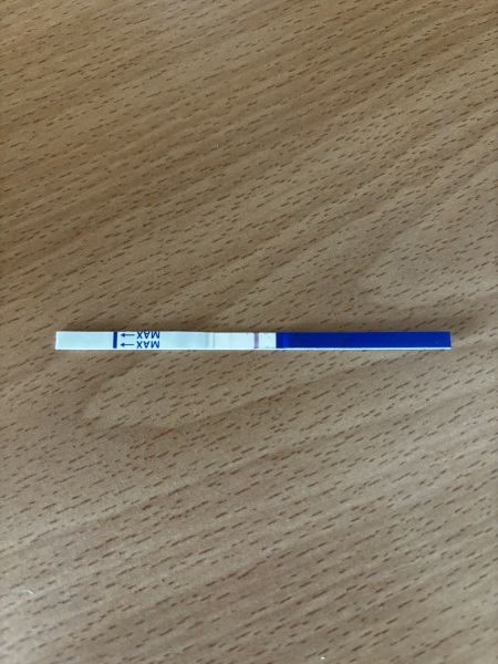 One step early pregnancy test