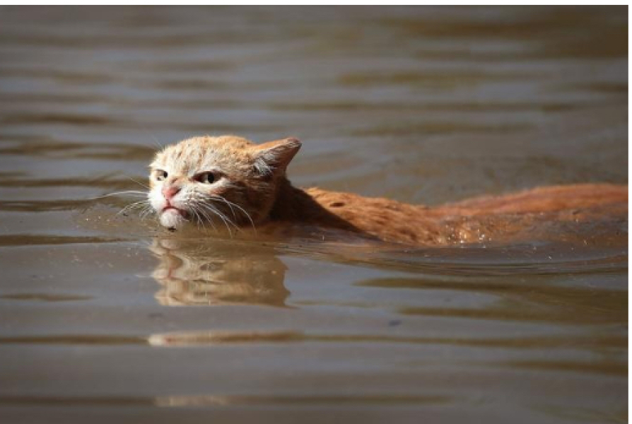 JK Rowlings latest tweet. Just wow!