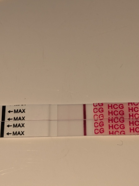 Are these indent lines?