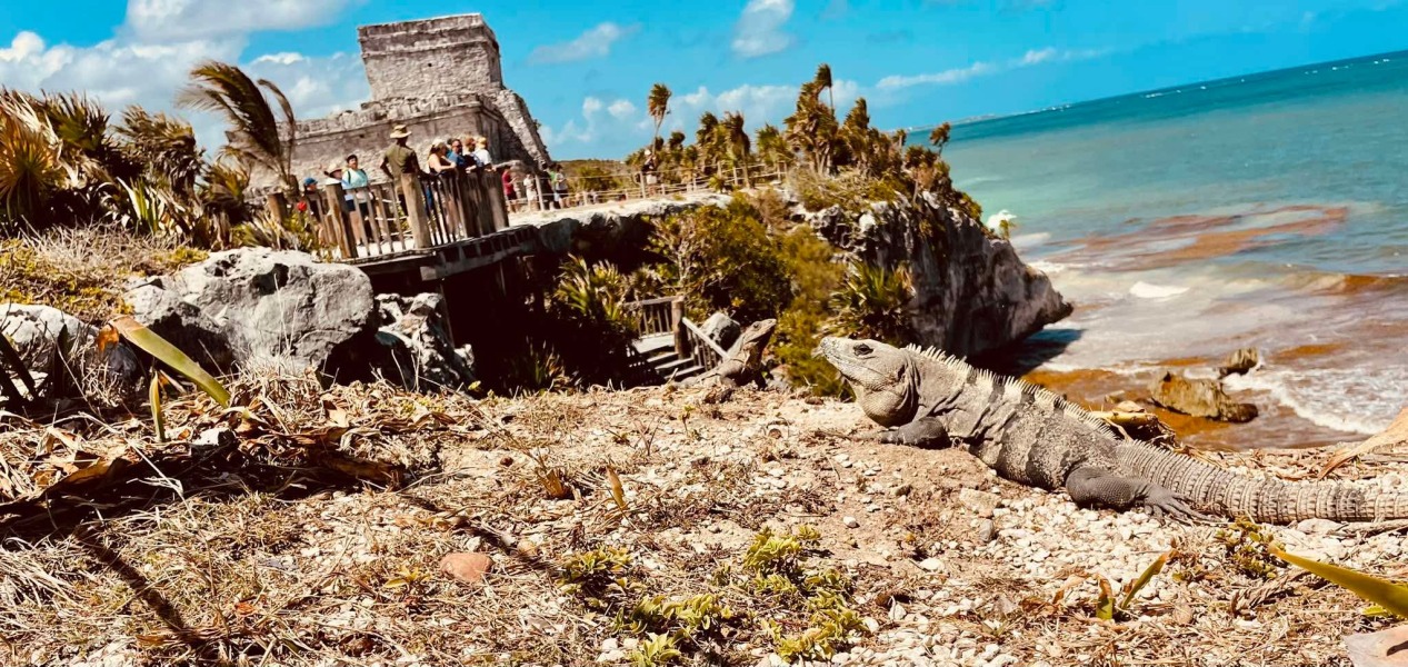 Lyrics that make you think "Yes!..."