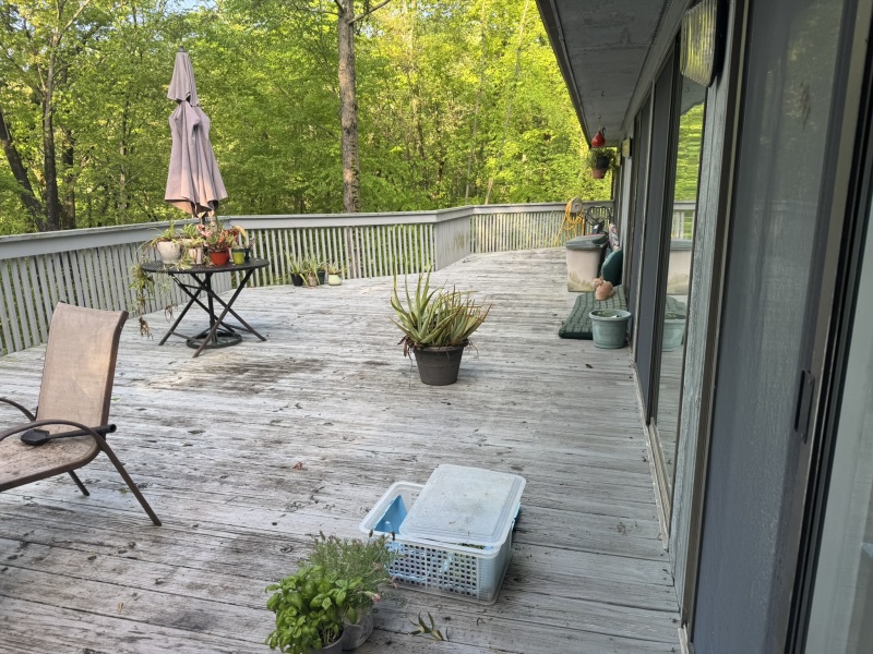 Come and tell us your dull and unexciting news 33: Calmly through the day