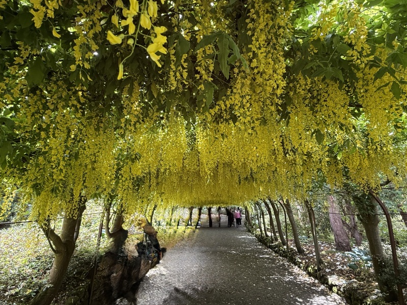 Year round Nigel Slater discussion thread Part 2