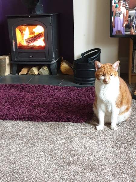 Mounjaro/Wegovy with > 5st/30kg to lose:  Thread 7