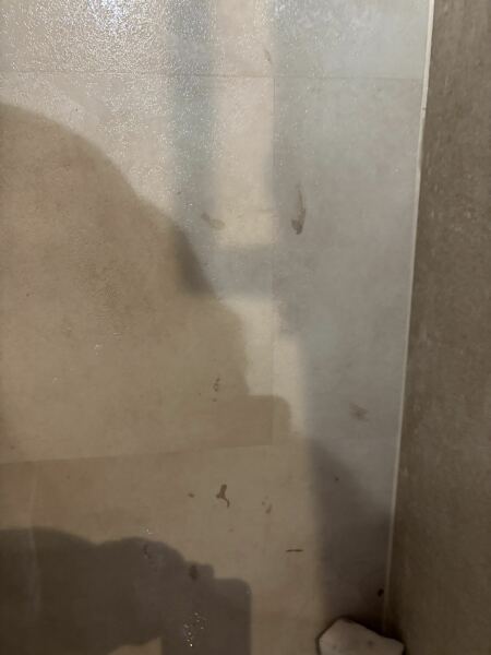 Help! What will take hair dye off of floor?