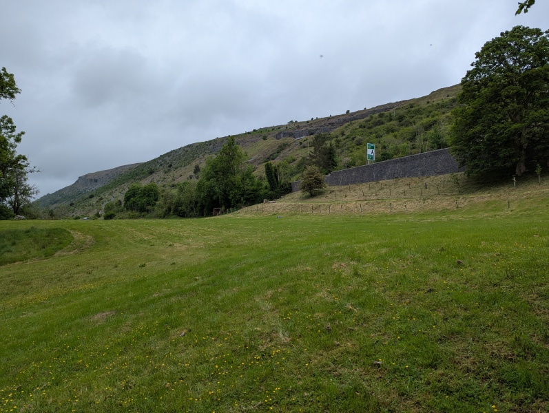 This is life (after passing of DH)