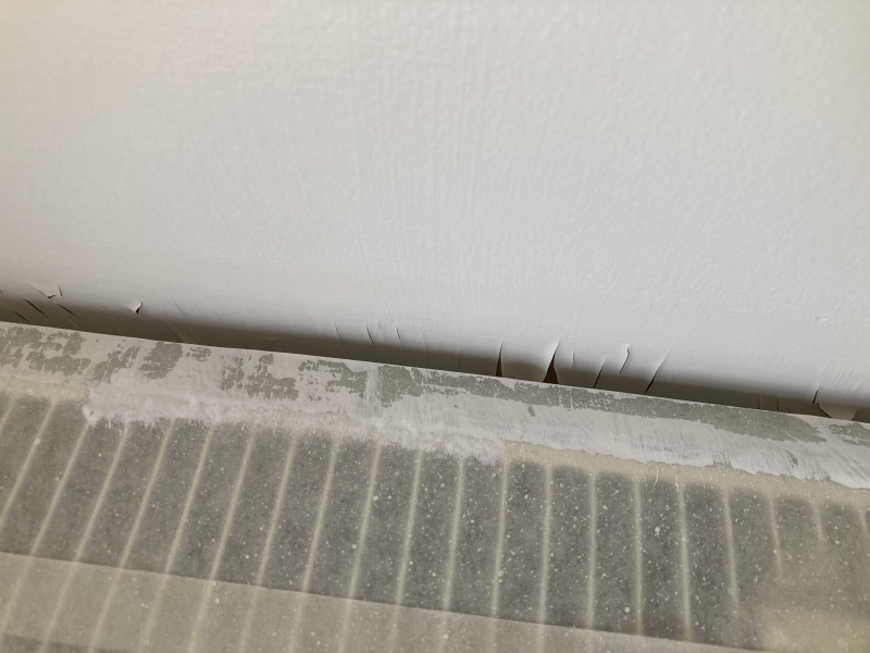 Why has primer pulled paint off my wall?