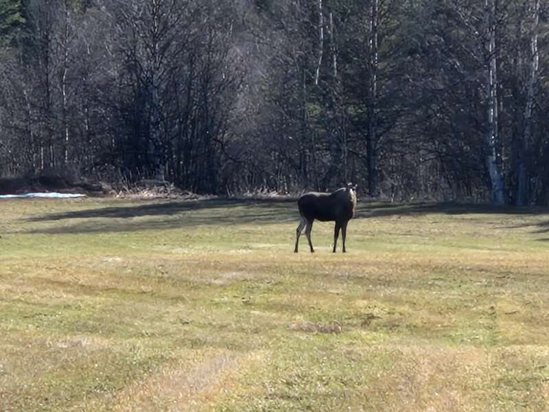 Year round Nigel Slater discussion thread Part 2