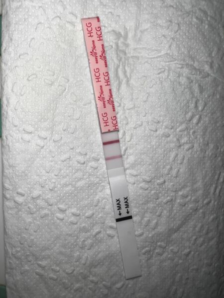 Due February 2026 ✨