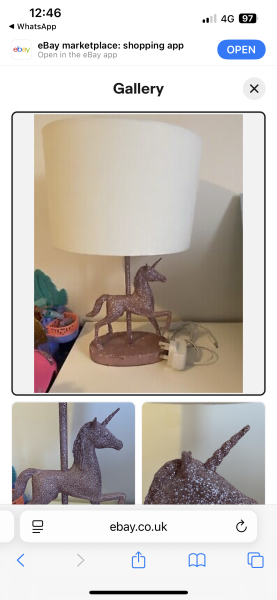 Unicorn lamp at West Bridgford tip