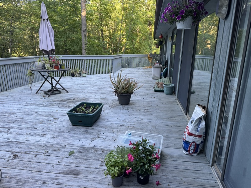 Come and tell us your dull and unexciting news 33: Calmly through the day