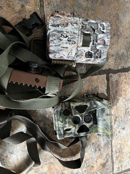 Do we have a Wildlife/Nature/Conservation topic?