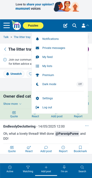 Owner died cat alone