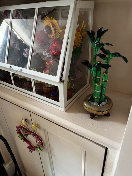 To show me your Lego collection?