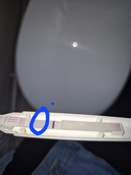 12dpo