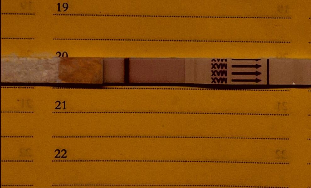 May 2025 TTC Support Thread #2!