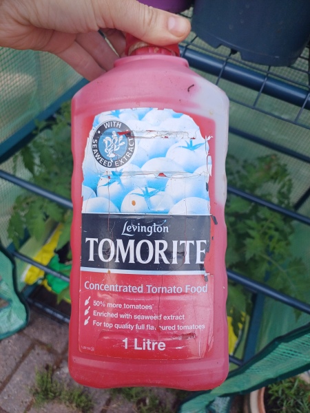 Do I need to trim some branches off my tomato plants?