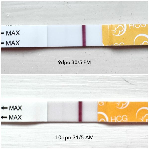 June 2025 TTC Support Thread