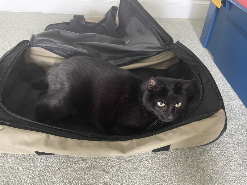 Thread 23 Starmer - Reflux Remedy