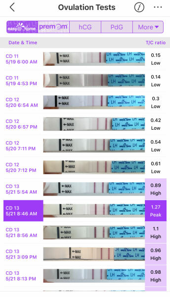 In the dreaded 2 week wait