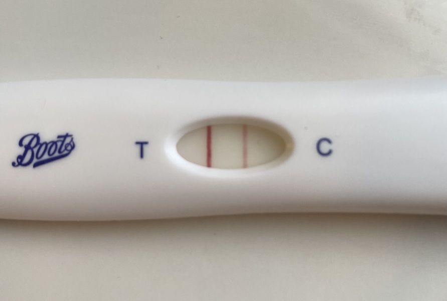 Due February 2026 ✨