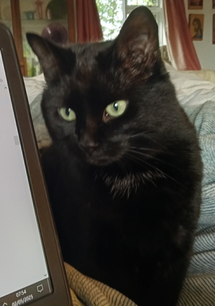 The Bluestocking Women's Pub, where brains can exist in a single state