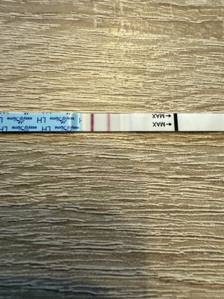 May 2025 TTC Support Thread #2!