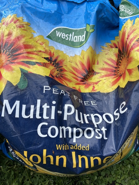 Green stuff in compost?