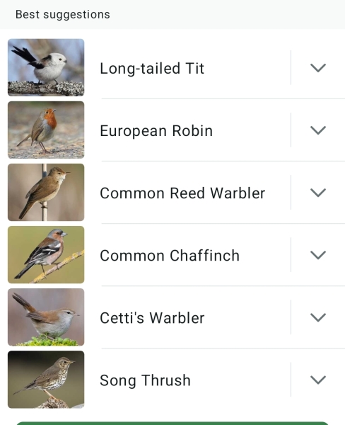 Merlin App Appreciation plus General Birding Chat