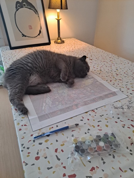 How exhausted are your cats today?
