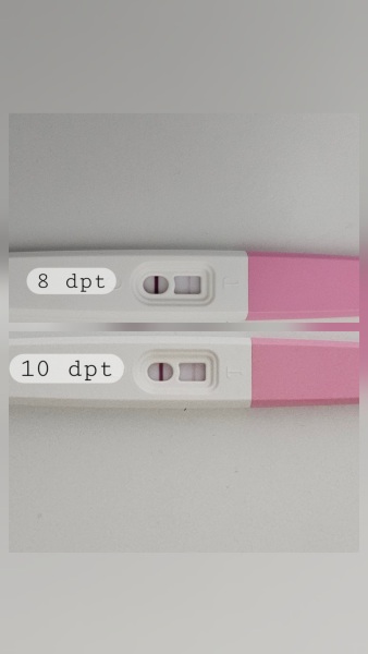 IVF April 2025