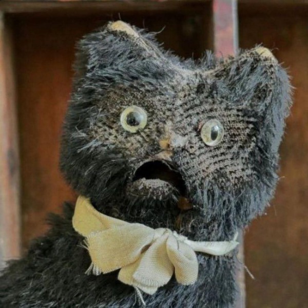 The Bluestocking Women's Pub, where brains can exist in a single state