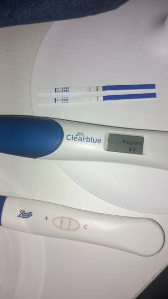 Due February 2026 ✨
