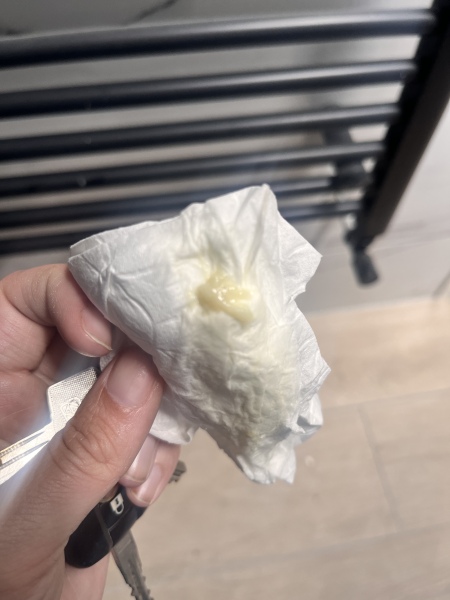 Is this my mucus plug (image)