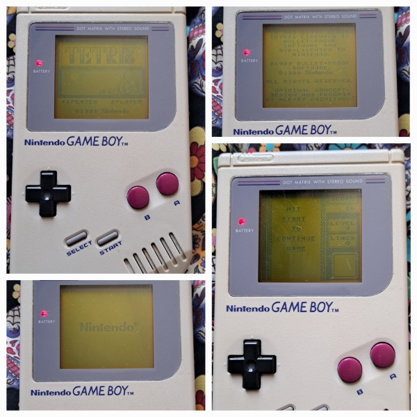 The Bluestocking Women’s Pub - The Return of Salad and the Lion