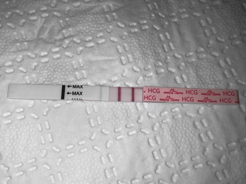 Due February 2026 ✨