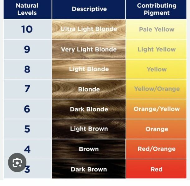 What color would you say my hair is?