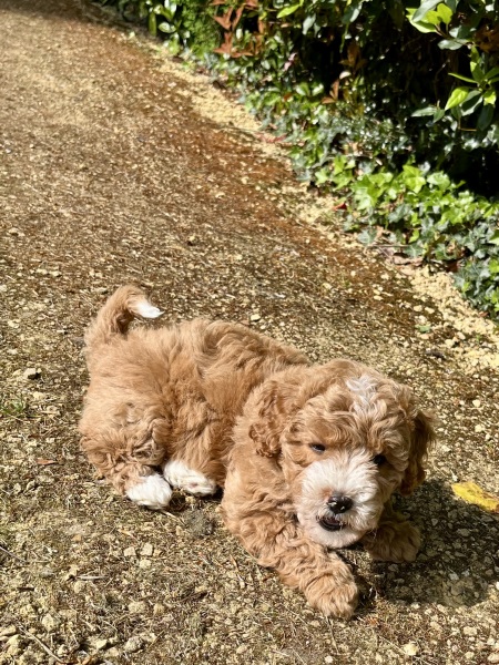 Bonnie is home!