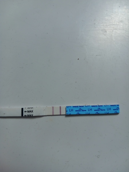 Ovulation tests