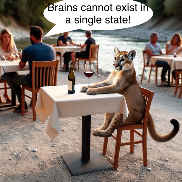 The Bluestocking Women's Pub, where brains can exist in a single state