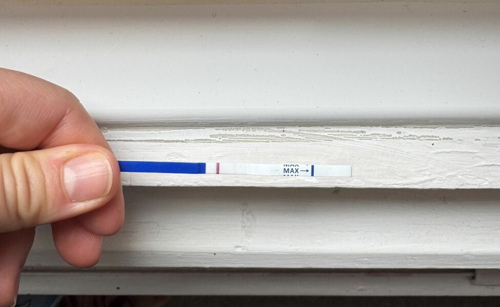 Can I ask for line eyes… just this one time?