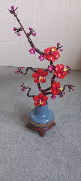 Roond and roond and up and doon - the Excellent Cats roam aboot