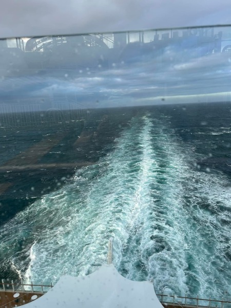 To wonder why everyone raves about cruises?