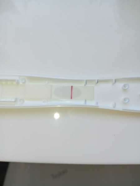 May 2025 TTC Support Thread #2!