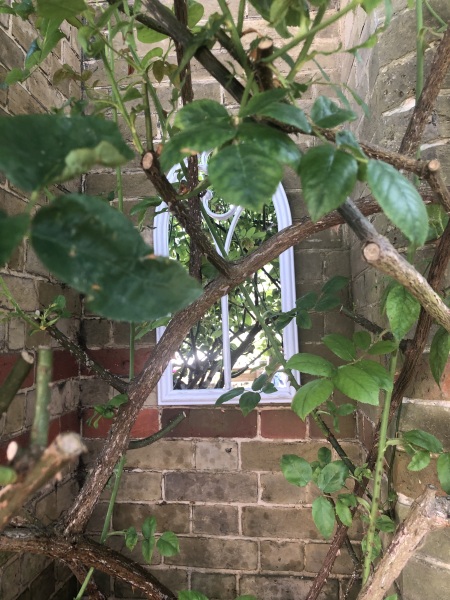 Daily Project round 7