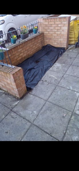 Small project front garden pic  help