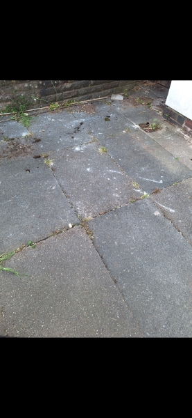 Looking for cheap driveway ideas