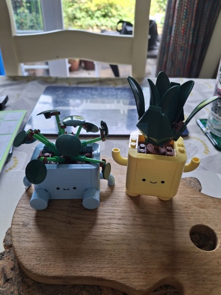 To show me your Lego collection?