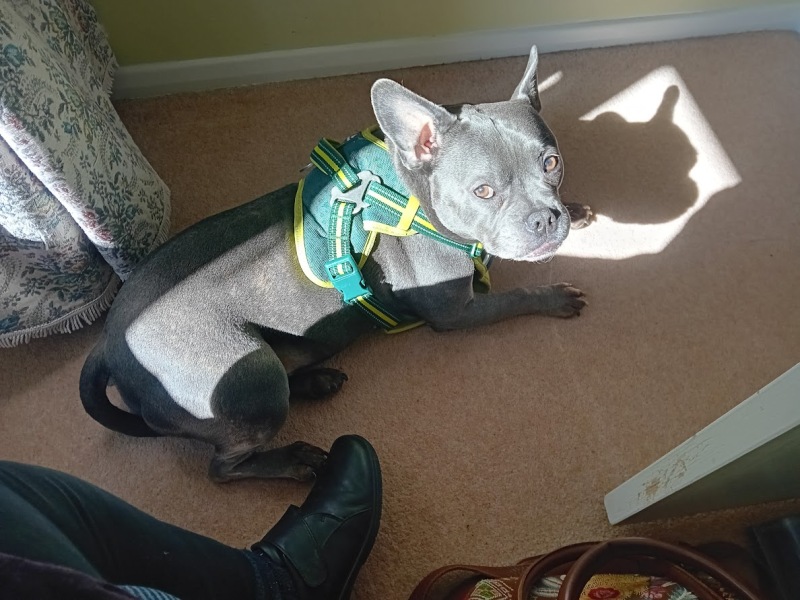 The support thread for anyone trying to live an alcohol free life. Spring 2025.