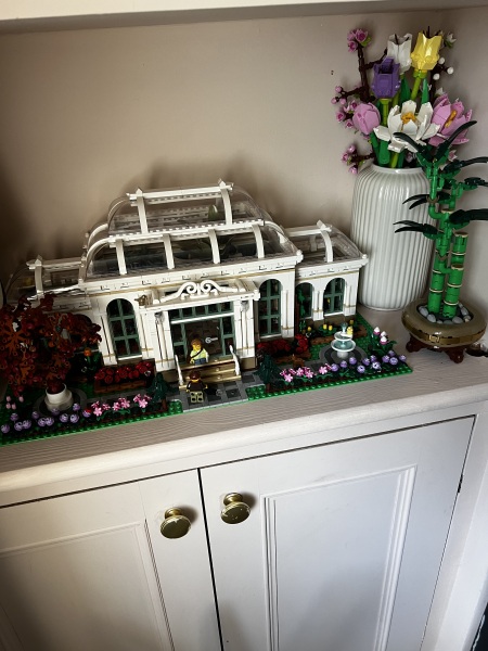 To show me your Lego collection?