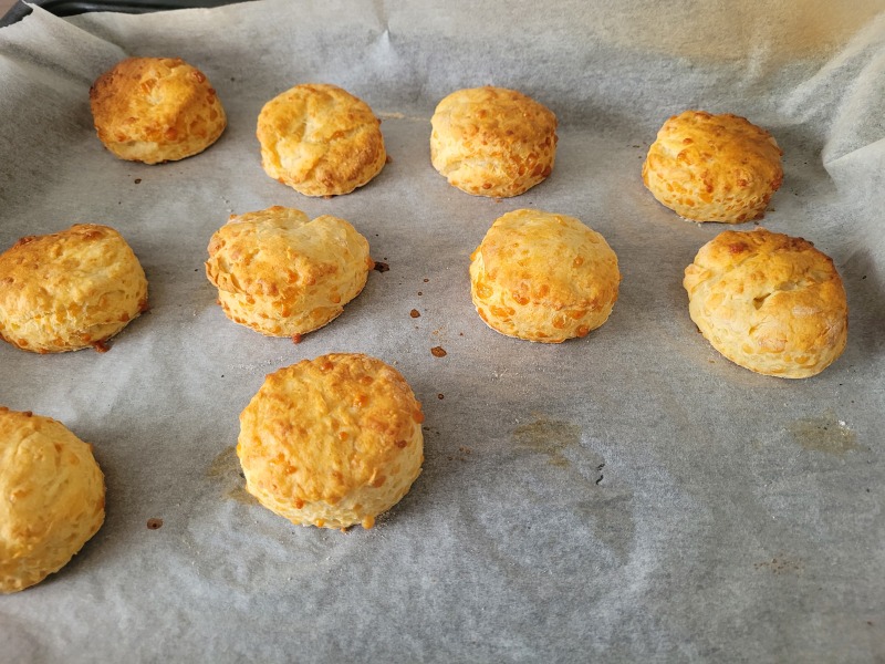 Idiotam habemus - Trumpum the Bigly XXX - Trump thread #143